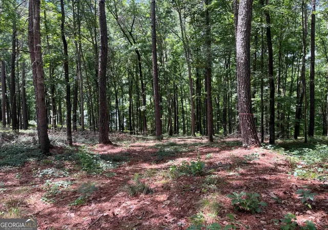 4th image of 1577 Pullman Ln, Greensboro, GA 30642 | MLS# 10790586
