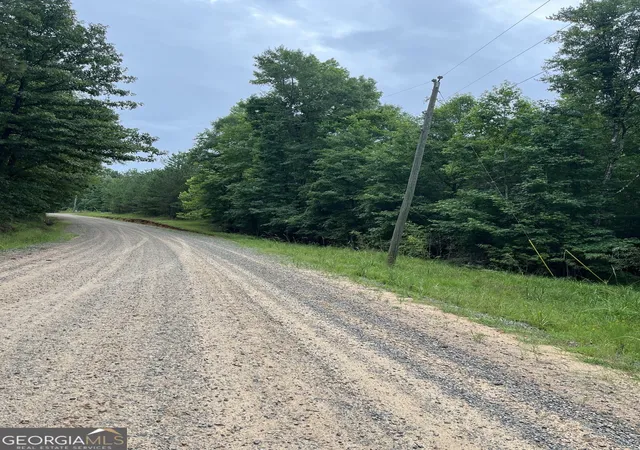 12th image of 0 Ellis Church Rd, Haddock, GA 31033 | MLS# 10805317