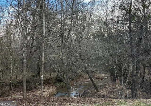 2nd image of 0 Ellis Church Rd, Haddock, GA 31033 | MLS# 10805317