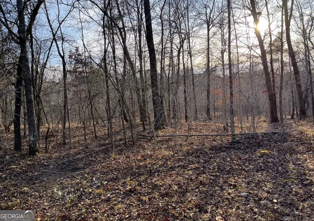 3rd image of 0 Ellis Church Rd, Haddock, GA 31033 | MLS# 10805317