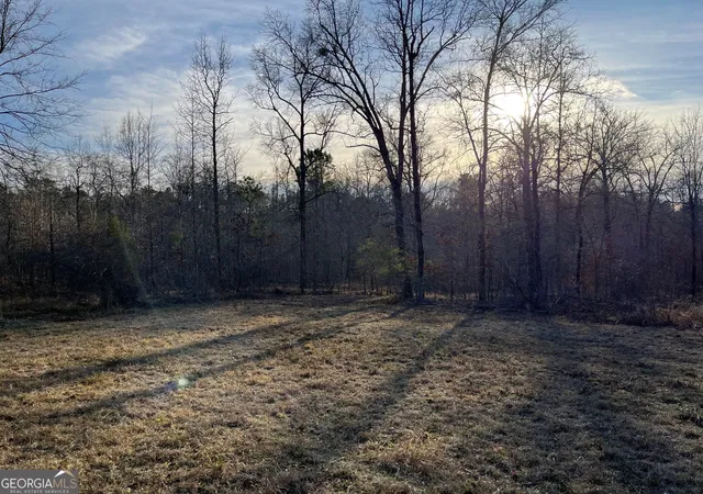 4th image of 0 Ellis Church Rd, Haddock, GA 31033 | MLS# 10805317