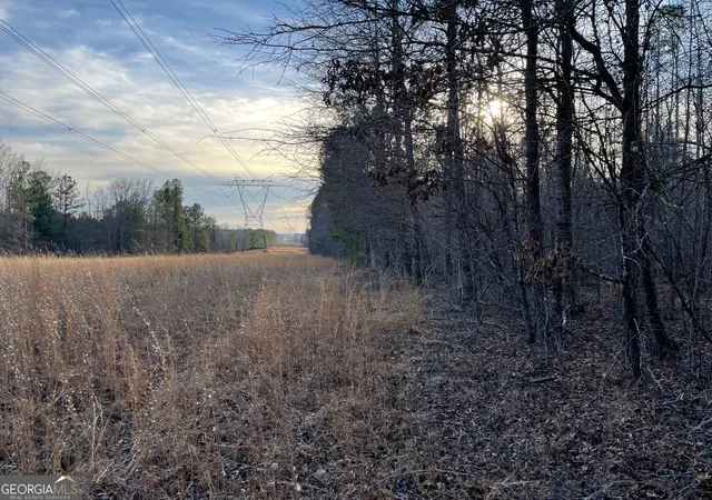 5th image of 0 Ellis Church Rd, Haddock, GA 31033 | MLS# 10805317