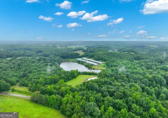 Photo 1 of Land for sale at 397 Reed Brawner Rd, Royston, GA 30662 | MLS# 10827743 | Listing updated on 2026-08-31