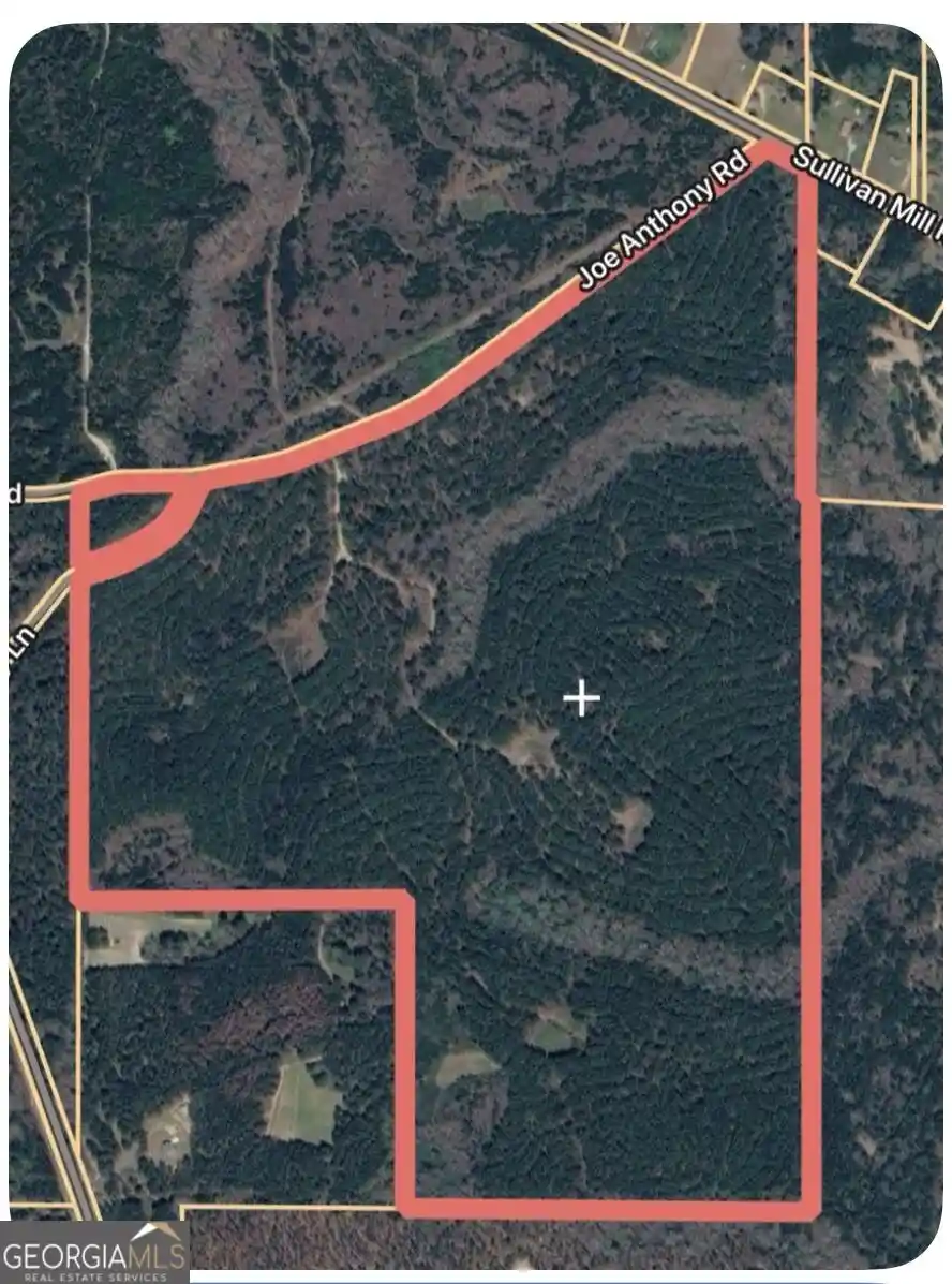 Land for sale at 0 Joe Anthony Rd, Senoia, GA 30276 | MLS# 10874186
