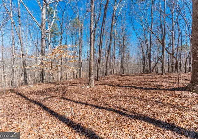 23rd image of 0 Snote Jones Rd, Dallas, GA 30132 | MLS# 10730880