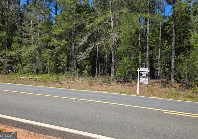 Homes for sale in Fort Valley, GA | 000 Willow Lake Rd, Fort Valley, GA 31030 | MLS# 10777143