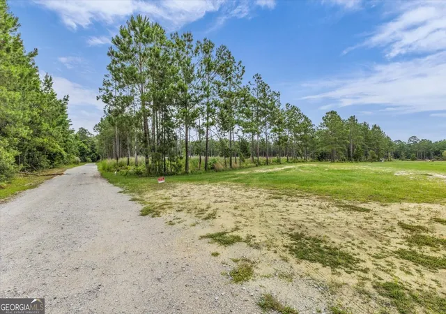 2nd image of 0 Wood Grv Ln, Richmond Hill, GA 31324 | MLS# 10794471
