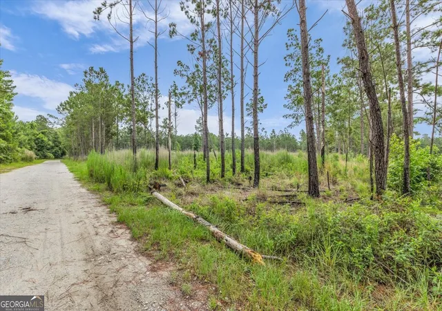 3rd image of 0 Wood Grv Ln, Richmond Hill, GA 31324 | MLS# 10794471