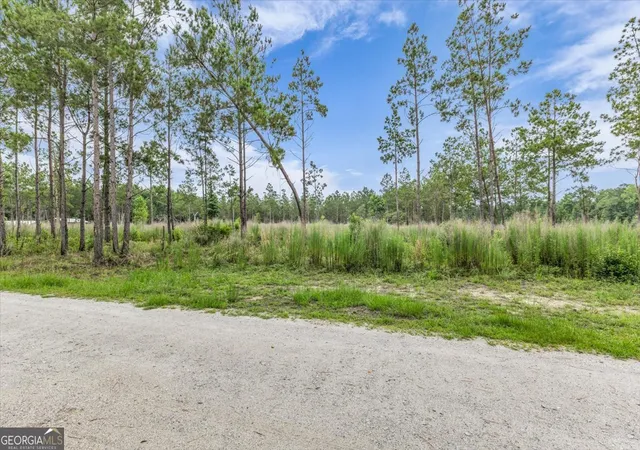 4th image of 0 Wood Grv Ln, Richmond Hill, GA 31324 | MLS# 10794471