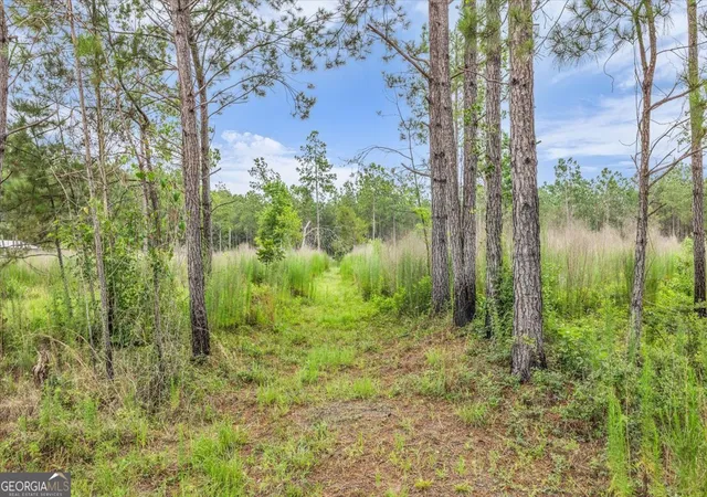 5th image of 0 Wood Grv Ln, Richmond Hill, GA 31324 | MLS# 10794471