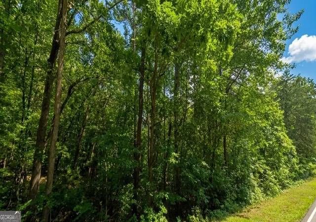 Photo 2 of Land for sale at 0 Ridgemore Circle #LOT 12 AND 8A, Toccoa, GA 30577 | MLS# 10825235 | Listing updated on 2026-09-08