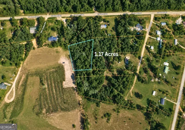1st image of 1002 Hodges Rd, Louisville, GA 30434 | MLS# 10813258