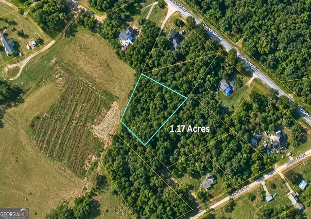 2nd image of 1002 Hodges Rd, Louisville, GA 30434 | MLS# 10813258