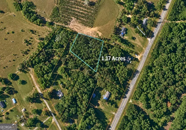 3rd image of 1002 Hodges Rd, Louisville, GA 30434 | MLS# 10813258