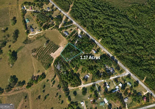 4th image of 1002 Hodges Rd, Louisville, GA 30434 | MLS# 10813258