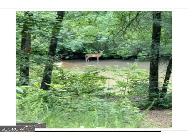 63rd image of 109 River Shl 109 River Shoals Dr, Forsyth, GA 31029 | MLS# 10827679