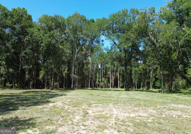 Photo 2 of Land for sale at 1046 Homer Bunch Rd, Statesboro, GA 30461 | MLS# 10836761 | Listing updated on 2026-09-15