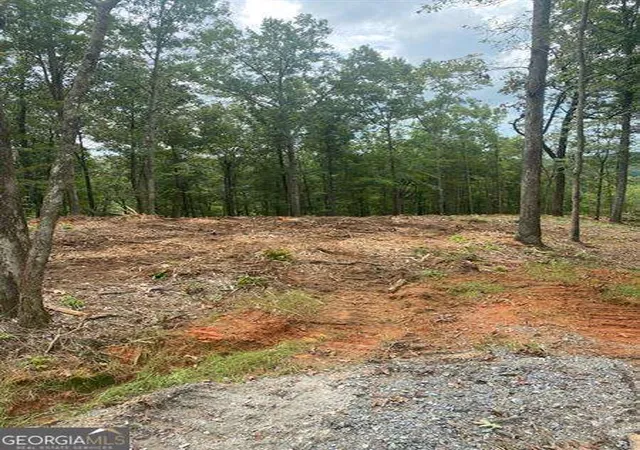 Photo 1 of Land for sale at Lot 56 Ridge Line Trl, Ellijay, GA 30540 | MLS# 10819447 | Listing updated on 2026-08-19