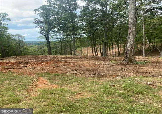 Photo 2 of Land for sale at Lot 56 Ridge Line Trl, Ellijay, GA 30540 | MLS# 10819447 | Listing updated on 2026-08-19