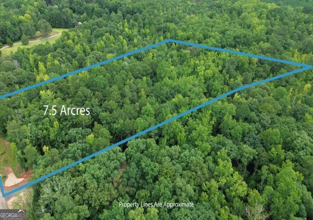 3rd image of 0 Roosevelt Hwy - Lot 1, Warm Springs, GA 31830 | MLS# 10828349