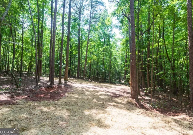 4th image of 0 Roosevelt Hwy - Lot 1, Warm Springs, GA 31830 | MLS# 10828349
