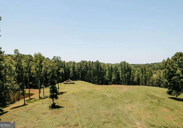 Homes for sale in Colbert, GA | 0 Mitchell Farm Rd, Colbert, GA 30628 | MLS# 10783085
