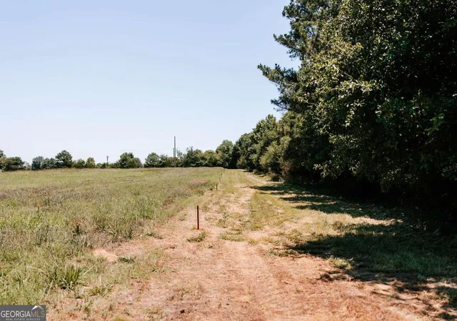Homes for sale in Colbert, GA | 0 Mitchell Farm Rd, Colbert, GA 30628 | MLS# 10783085