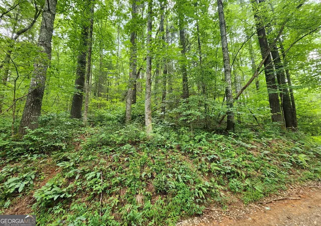 15th image of Tract 2a Poplar Cove Trl, Suches, GA 30572 | MLS# 10823071