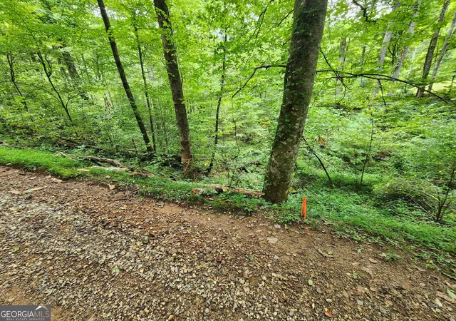 2nd image of Tract 2a Poplar Cove Trl, Suches, GA 30572 | MLS# 10823071