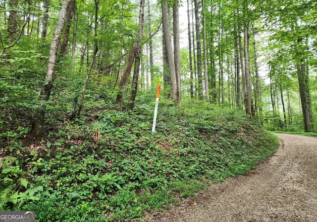 5th image of Tract 2A Poplar Cove Trl, Suches, GA 30572 | MLS# 10823071