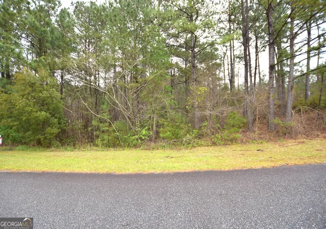 Photo 1 of Land for sale at 116 Nautica Pt, Macon, GA 31220 | MLS# 10485866 | Listing updated on 2026-03-23