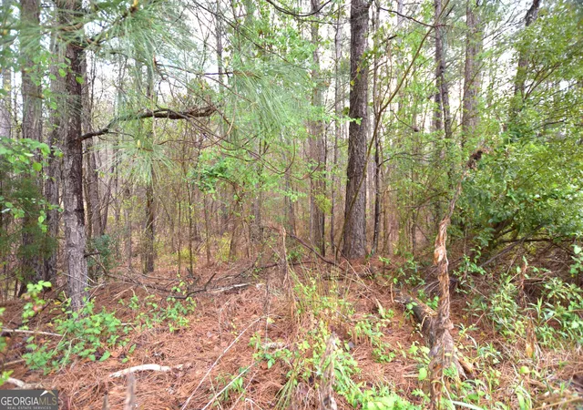 Photo 3 of Land for sale at 116 Nautica Pt, Macon, GA 31220 | MLS# 10485866 | Listing updated on 2026-03-23