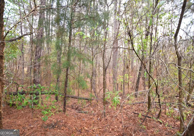 Photo 3 of Land for sale at 116 Nautica Pt, Macon, GA 31220 | MLS# 10485866 | Listing updated on 2026-03-23