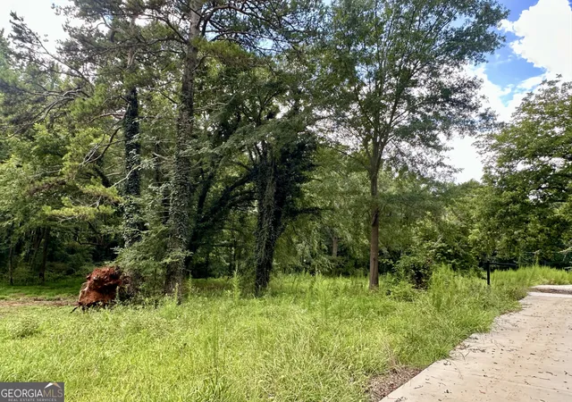3rd image of Lot 3 Pine Street   235 Acres, Pendergrass, GA 30567 | MLS# 10818530