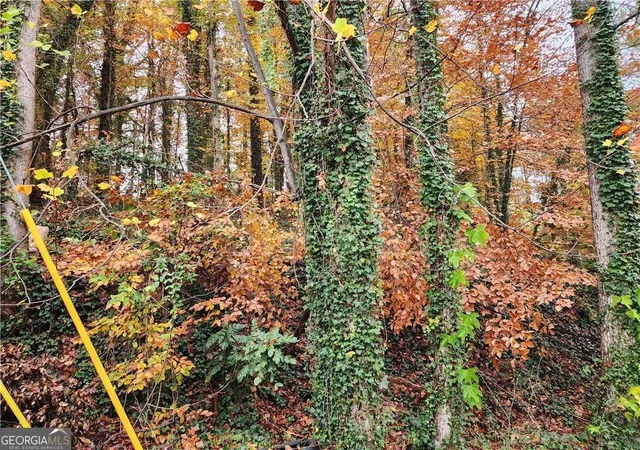 Photo 4 of Land for sale at 0 Gardenia Dr Nw, Atlanta, GA 30314 | MLS# 10635497 | Listing updated on 2026-06-30