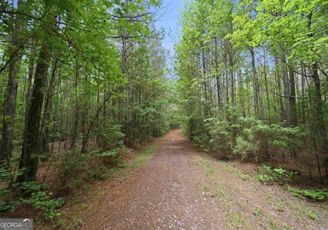 2nd image of 0 Pear Orchard Rd, Greensboro, GA 30642 | MLS# 10778245