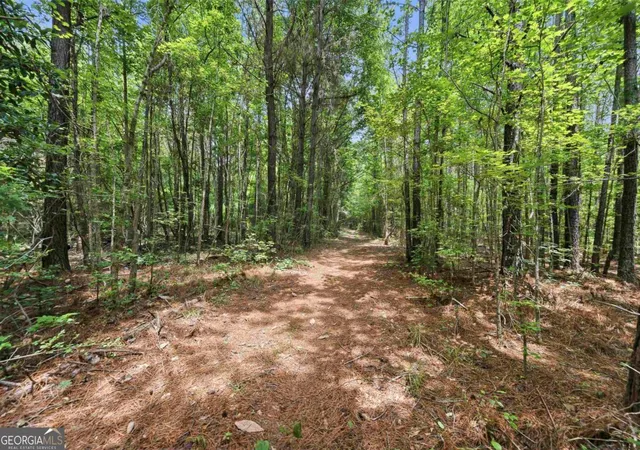 Photo 3 of Land for sale at 0 Pear Orchard Rd, Greensboro, GA 30642 | MLS# 10778245 | Listing updated on 2026-08-07