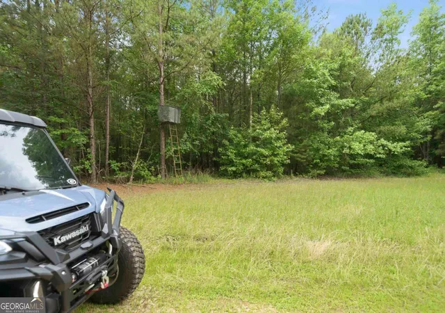 Photo 3 of House for sale at 0 Pear Orchard Rd, Greensboro, GA 30642 | MLS# 10778245 | Listing updated on 2026-08-07