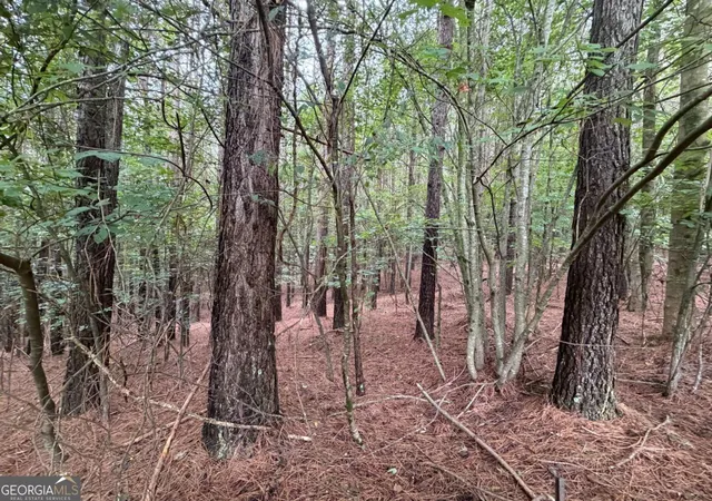 Photo 3 of Land for sale at 9 Foxpaw Leaf Ct #9, East Ellijay, GA 30536 | MLS# 10823213 | Listing updated on 2026-08-25