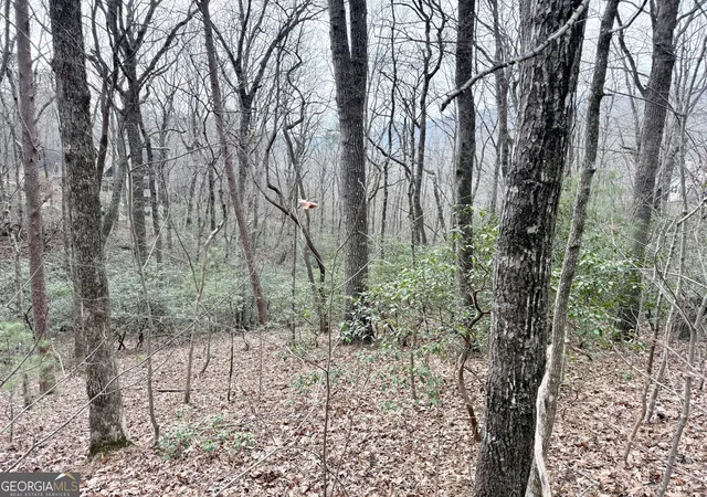 Photo 1 of Land for sale at 0 Monarch Ln, Clayton, GA 30525 | MLS# 10827832 | Listing updated on 2026-09-01