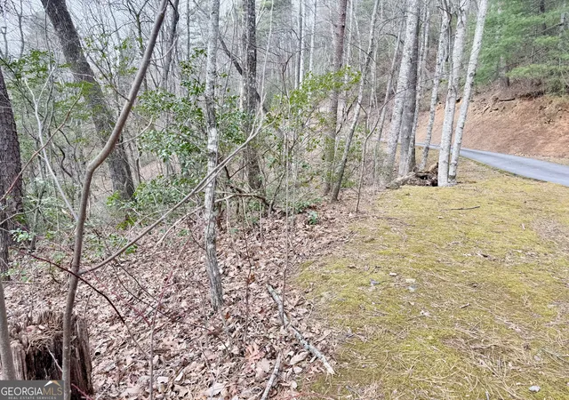 Photo 3 of Land for sale at 0 Monarch Ln, Clayton, GA 30525 | MLS# 10827832 | Listing updated on 2026-09-01