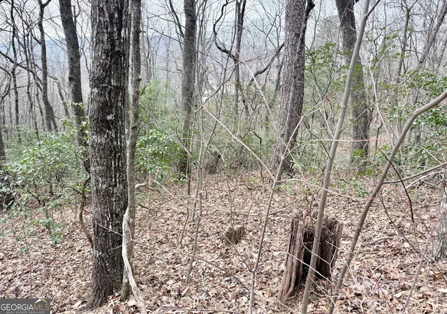 Photo 3 of Land for sale at 0 Monarch Ln, Clayton, GA 30525 | MLS# 10827832 | Listing updated on 2026-10-26