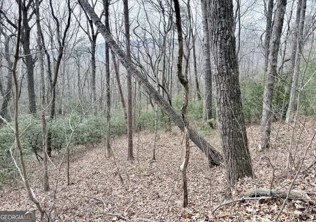 Photo 4 of Land for sale at 0 Monarch Ln, Clayton, GA 30525 | MLS# 10827832 | Listing updated on 2026-10-26