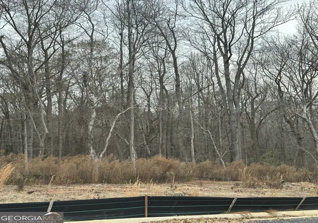 Photo 4 of Land for sale at 120 Edmonson Way, Stockbridge, GA 30281 | MLS# 10660973 | Listing updated on 2026-01-05
