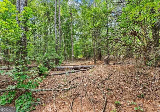 Photo 36 of Land for sale at 1097 Doster Rd, Jefferson, GA 30549 | MLS# 10836401 | Listing updated on 2026-09-14
