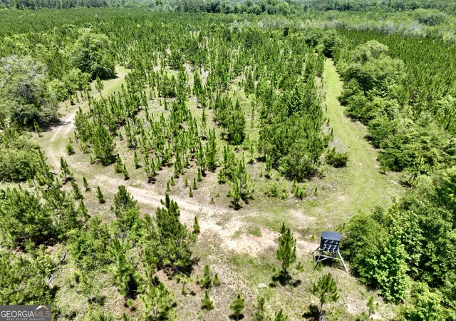 1st image of 0 W River Road, Rhine, GA 31077 | MLS# 10792658