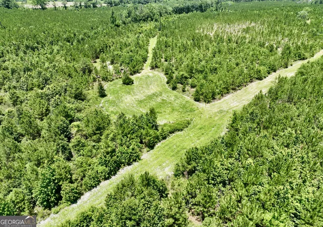 2nd image of 0 W River Road, Rhine, GA 31077 | MLS# 10792658