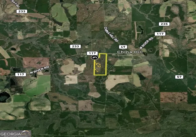 31st image of 0 W River Road, Rhine, GA 31077 | MLS# 10792658