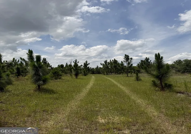 3rd image of 0 W River Road, Rhine, GA 31077 | MLS# 10792658