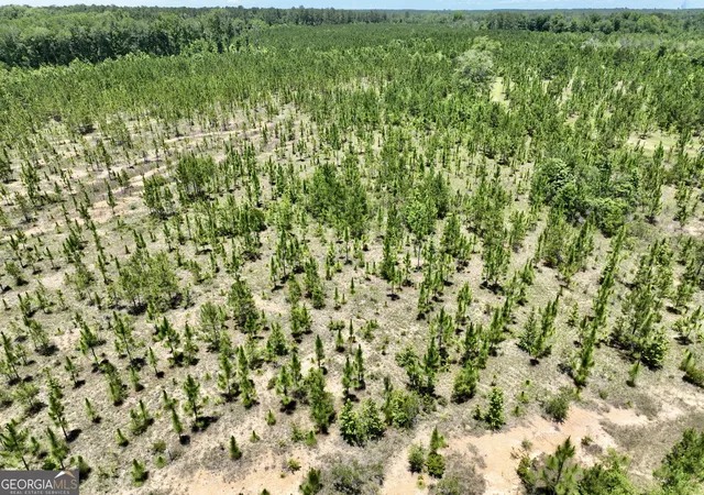 4th image of 0 W River Road, Rhine, GA 31077 | MLS# 10792658
